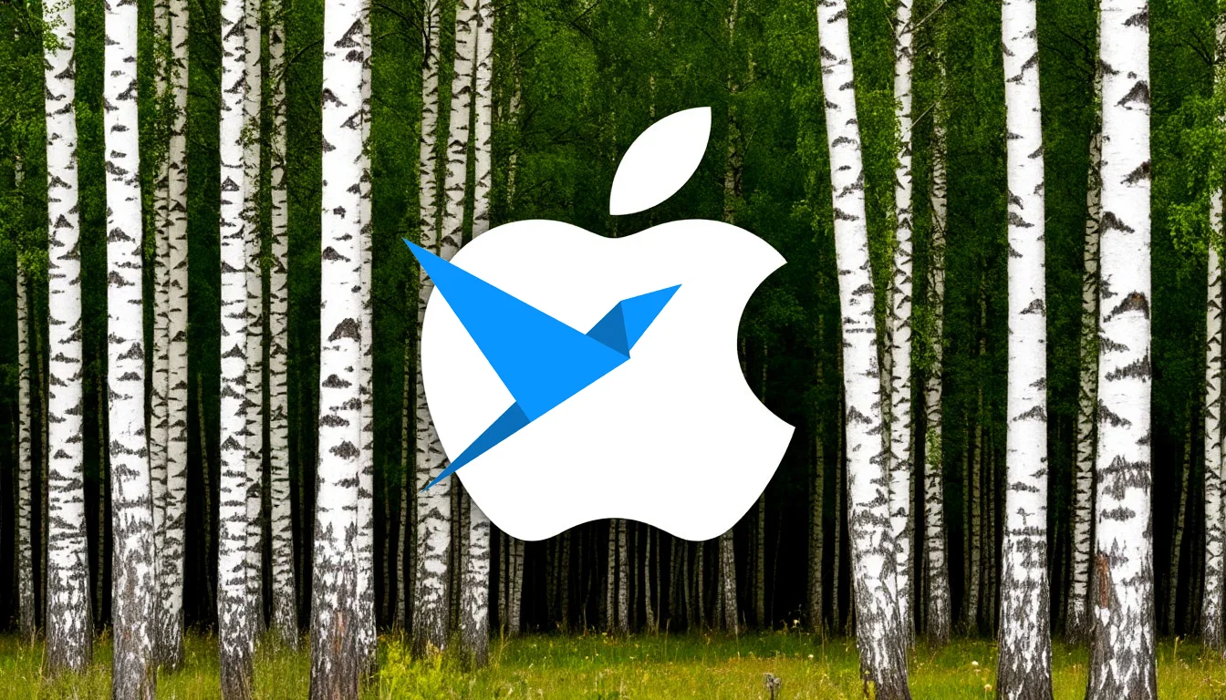 Установка плагина и запуск СБИС на  Mac OS